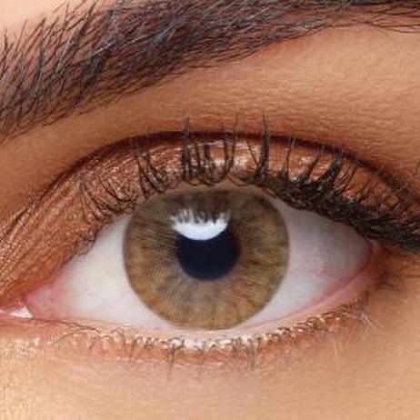 Solotica Aquarella Sienna Brown-1 day