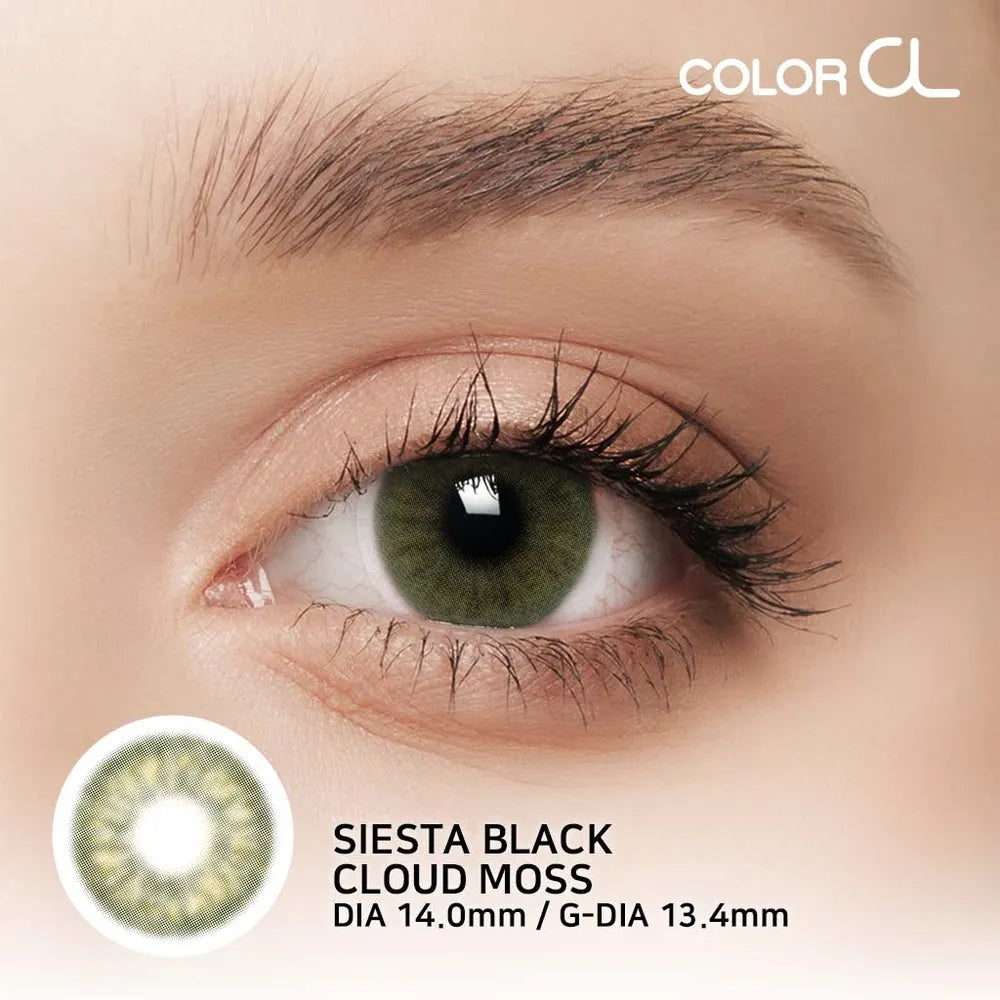 Cloud Moss Colorcl