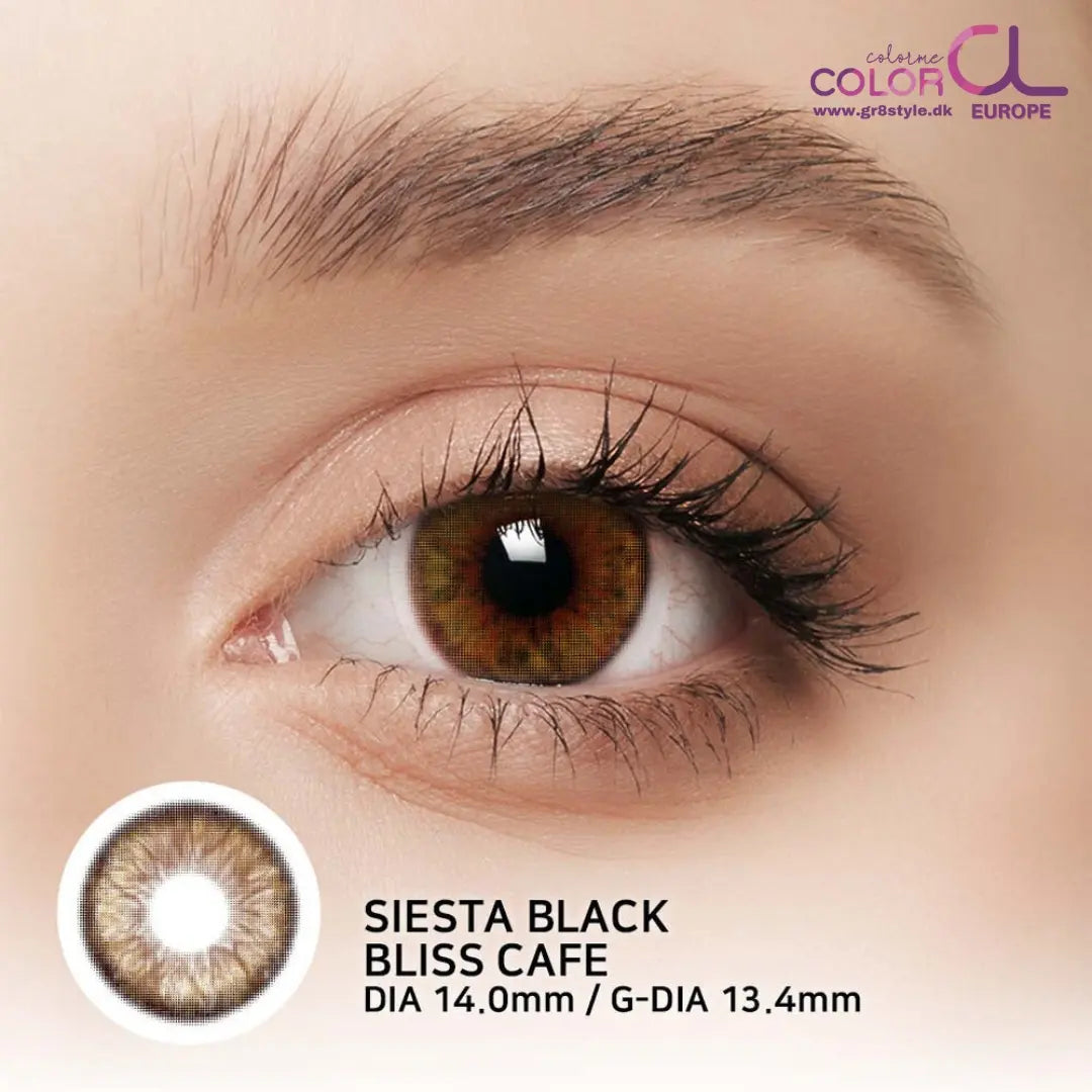 Siesta Black Bliss Cafe
