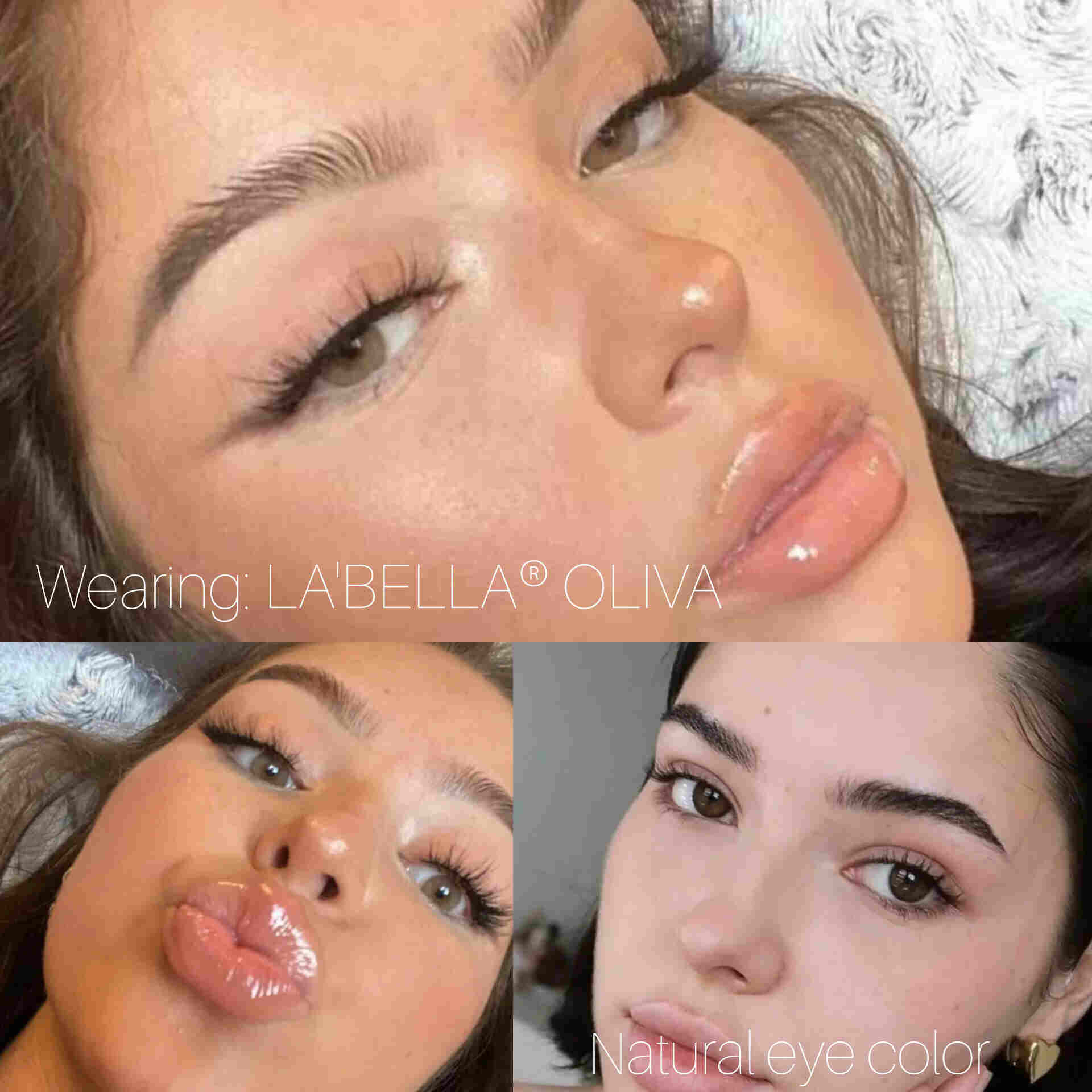 LaBella Oliva 