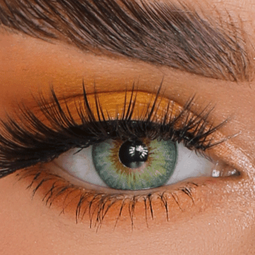 FX Eyes Jasmine 2 Coloured lenses