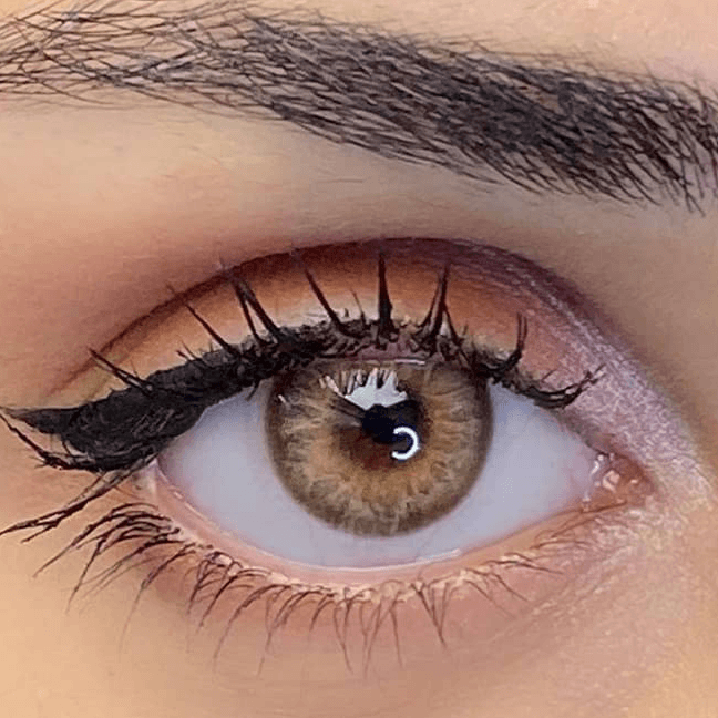 Elamore Mocha color lenses
