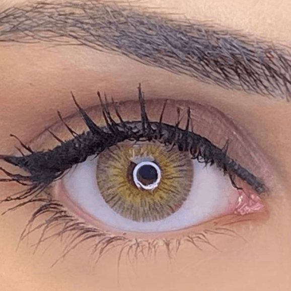 Elamore Panama lenses