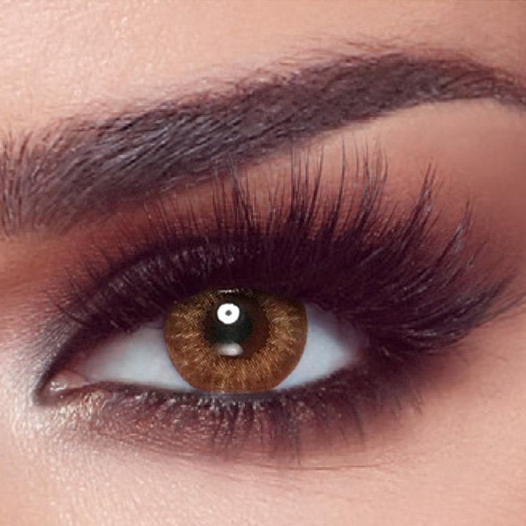 Bella 1 Day Almond Brown Coloured lenses