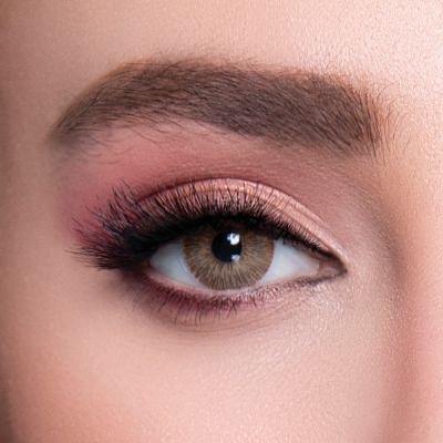 Labella Exclusive Brown lenses