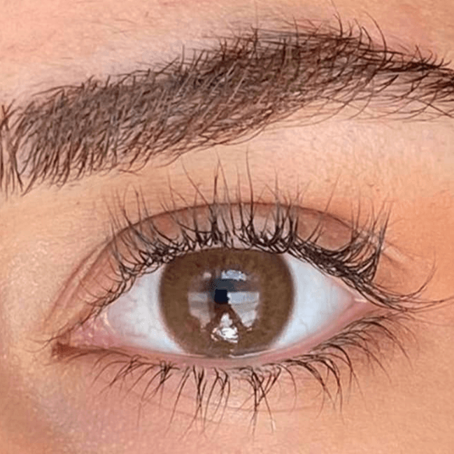 Elamore Retro Dark Coffee lenses
