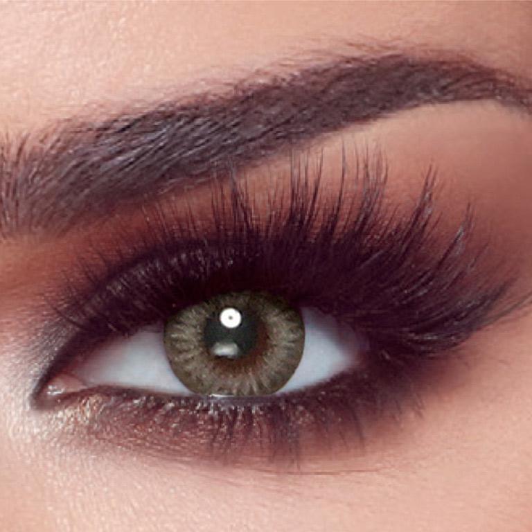 Bella 1 day Platinum Grey lenses