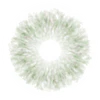 Siesta Crystal Iris Green color lenses