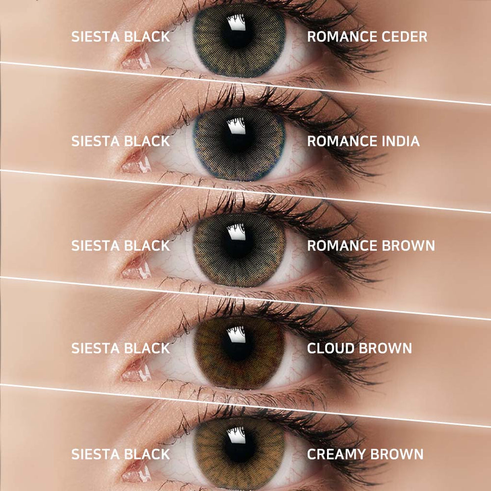 Siesta Black Brown 