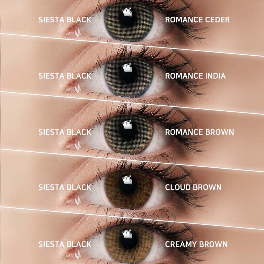 Siesta Black Brown 