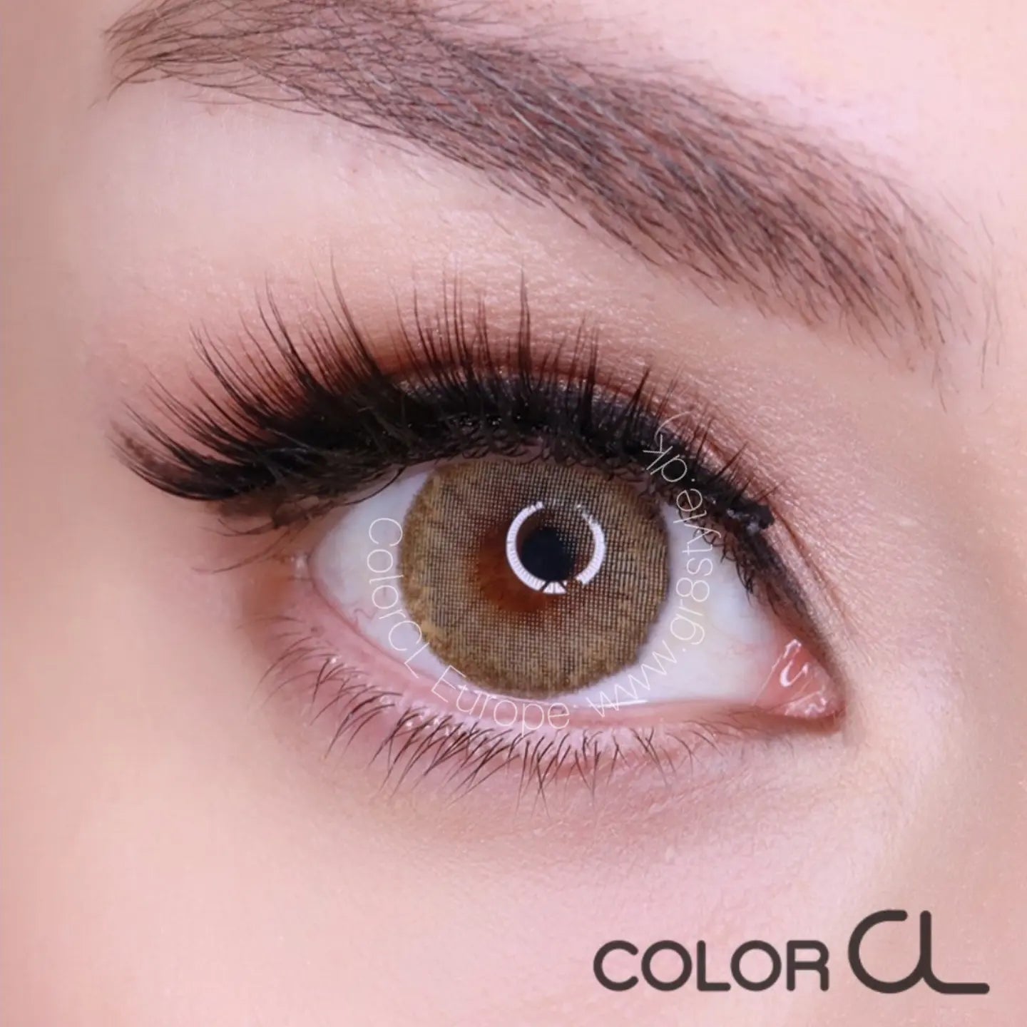 Colorcl Black Romance Brown