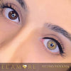 Elamore Retro Panama lenses