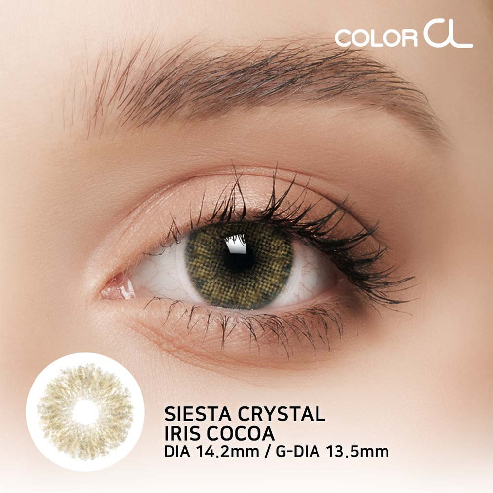 Siesta Iris Cocoa